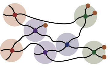 Parallel programming photonic network